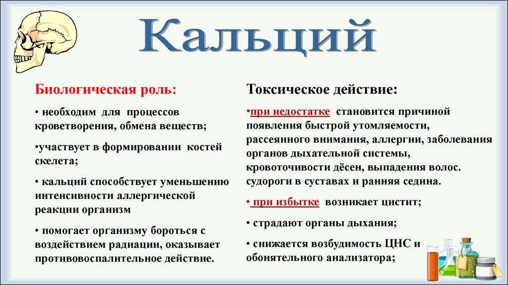 Крепкие кости и зубки: чем кормить малыша до 4х лет - agulife.ru
