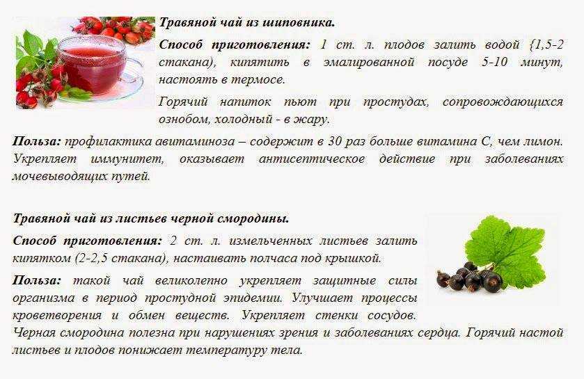 Лечебные свойства душицы для женского организма